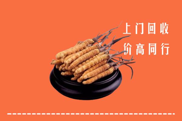 高价求购：扶沟县回收散虫草