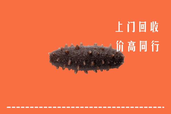 扶沟县回收海参