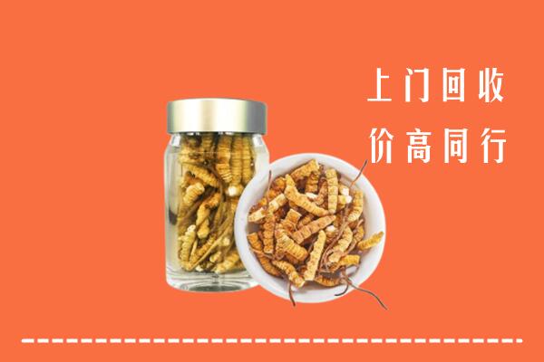 扶沟县回收冬虫夏草