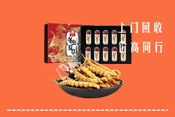 收购行情：扶沟县回收虫草
